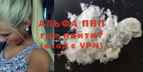 стафф Бородино