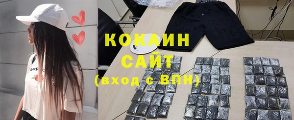 дмт Богородицк