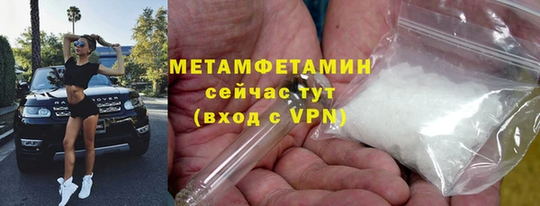 ECSTASY Богданович