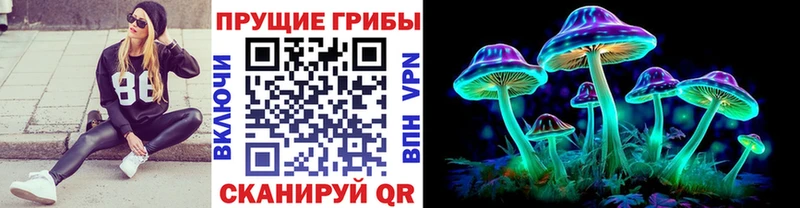 Псилоцибиновые грибы Magic Shrooms  Гаврилов-Ям 