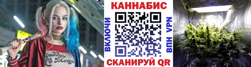 Шишки марихуана семена  как найти закладки  Гаврилов-Ям 